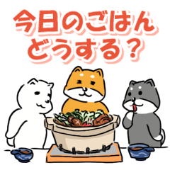 柴犬的、今日のごはんどうする？　LINEスタンプ